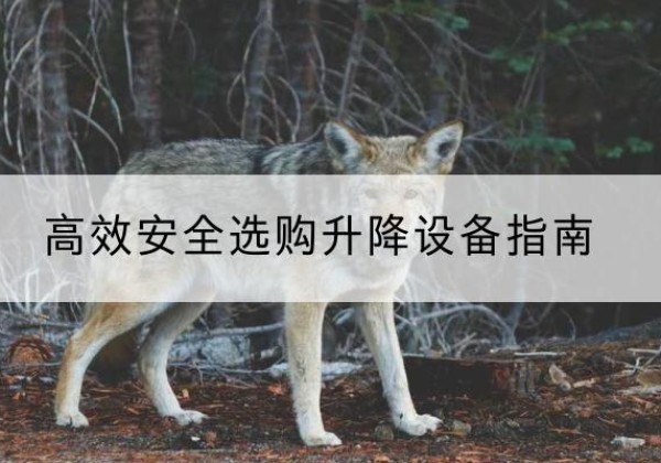 平乡升降货梯厂家推荐-*安全选购升降设备指南