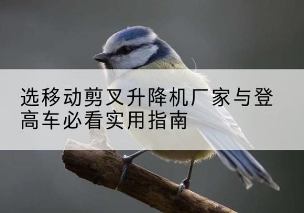 平乡电动升降机厂家-选移动剪叉升降机厂家与登高车必看实用指南