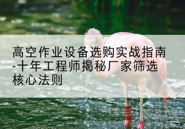 平乡剪叉式升降机厂家-高空作业设备选购实战指南-十年工程师揭秘厂家筛选核心法则